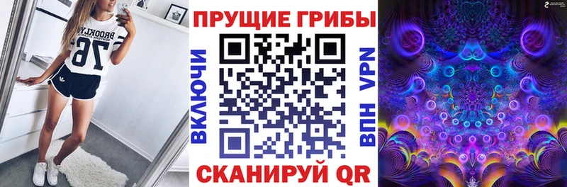 Купить  Киров  Галлюциногенные грибы мухоморы 